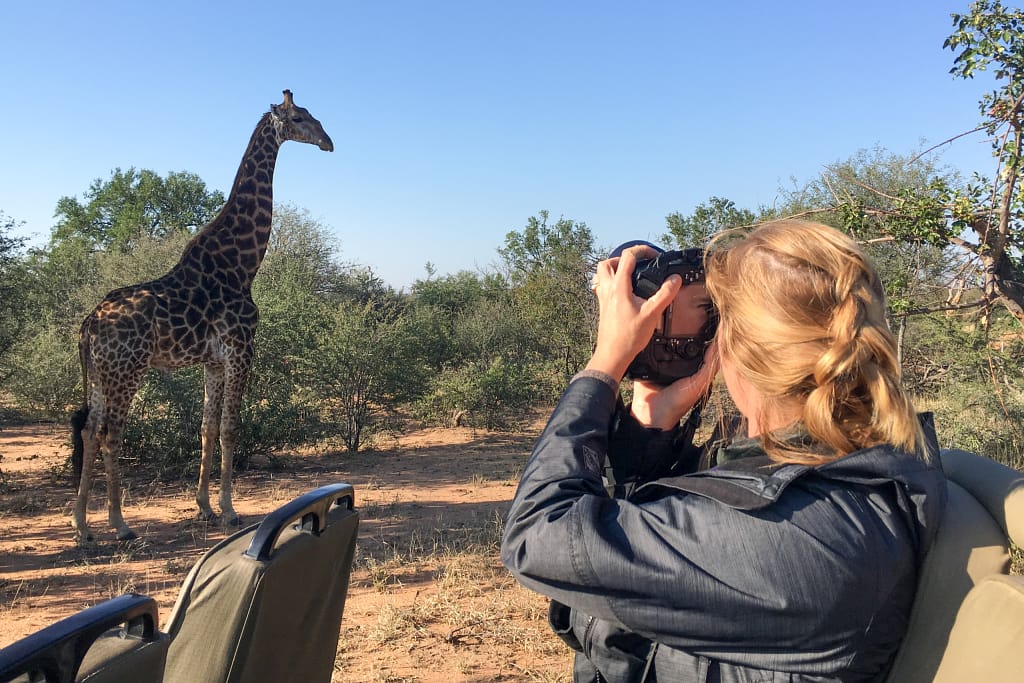 Photography Date Ideas: Capture Love and Light elaine photos giraffe 8372.webp