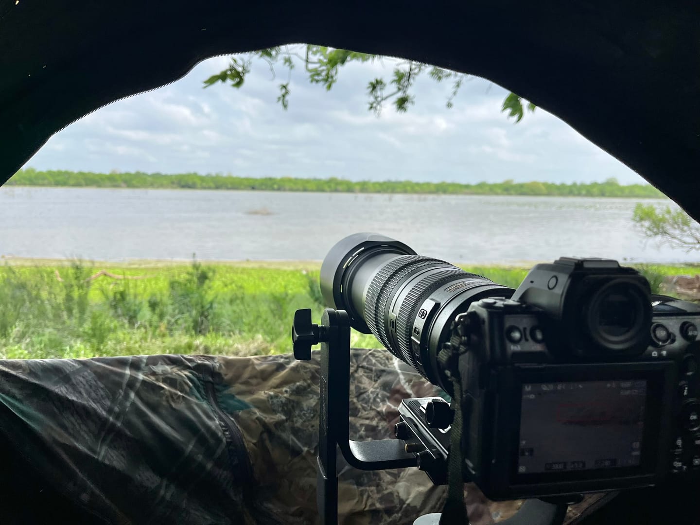 img 7502 View from inside a chair blind near the shoreline, with a telephoto camera setup.